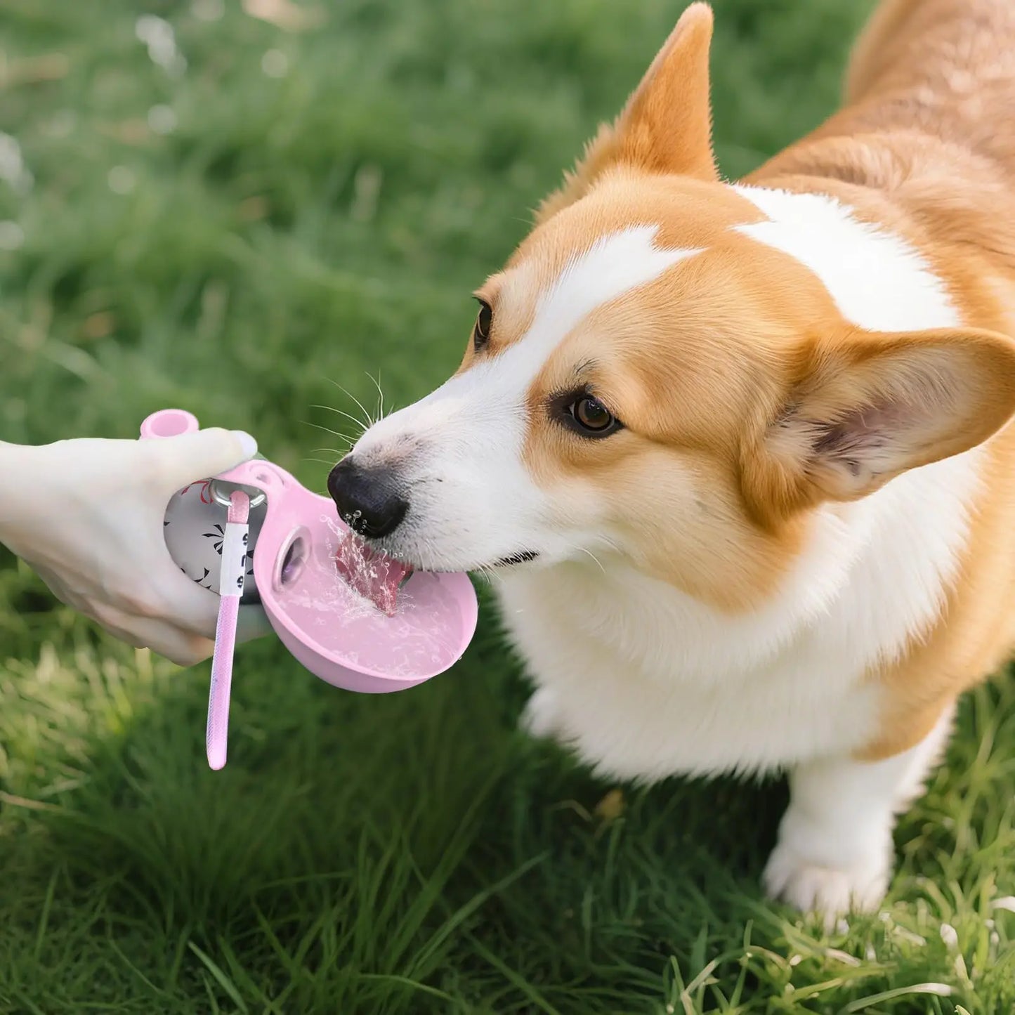 Kompakte Hundetrinkflasche für kleine Hunde – auslaufsicher, Edelstahl & Silikon, ideal für unterwegs
