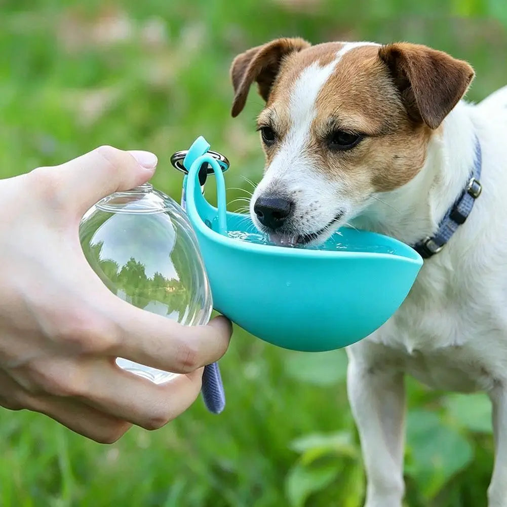 Auslaufsichere Trinkflasche für Hunde mit faltbarem Silikonnapf